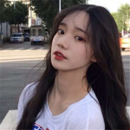 上海419论坛携手：华夏文明的永恒之约