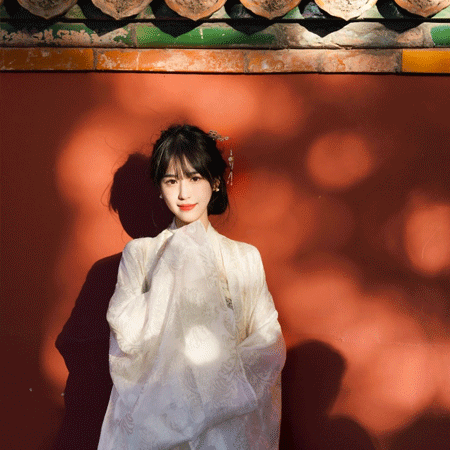 上海龙凤花坛：花坛中的醉美时光，沉浸在花香中 - 上海龙凤419
