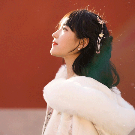 上海龙凤花坛：花坛内的花朵和你的情感有何关联？ - 上海龙凤419