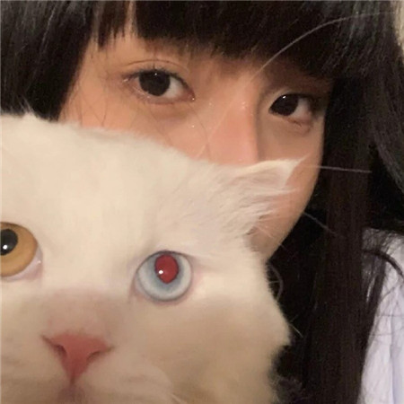 阿拉爱上海：与生俱来的爱情基因