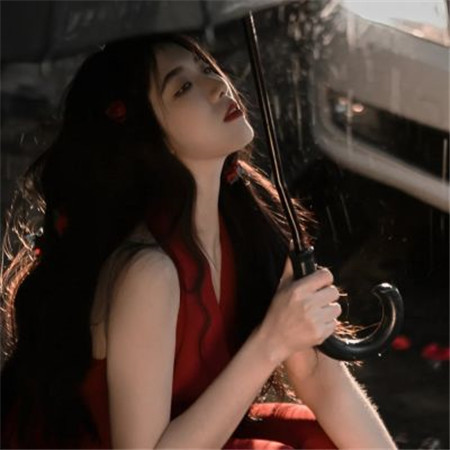 上海工作室品茶：开启职业巅峰之路 - 上海品茶网