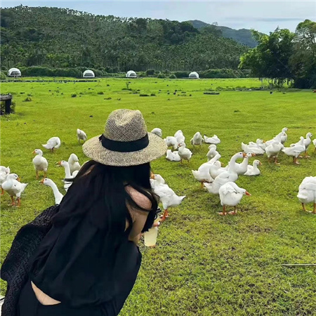 遥远上海后花园爱上海的冒险旅程：发现无限可能