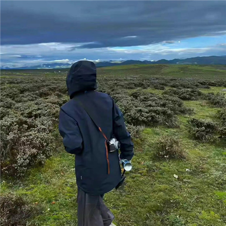 上海龙凤花坛：上海魔都的博物馆之旅探索世界的文化瑰宝