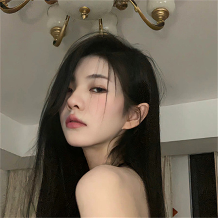 上海龙凤花坛：花坛中的花海漫步 - 上海龙凤419