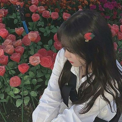 上海千花论坛：千花之梦，踏入花的海洋