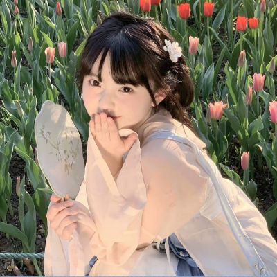 上海龙凤花坛：璀璨闪耀，花坛中耀眼夺目的花海 - 上海龙凤419