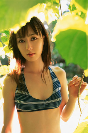 上海龙凤花坛：魔都追寻历史名人的足迹