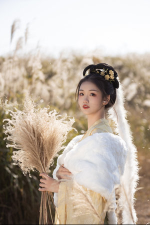 上海龙凤花坛：花坛之舞台，花朵们登上世界的瞩目舞台 - 上海龙凤419