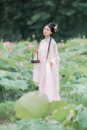 上海千花论坛：花开千朵，发现花的奇妙